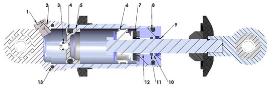 2017 Cobra CX50 P3 - SHOCK - INTERNAL