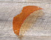 FlowVision® Rythem/Section™ Motocross Lens: Orange Clear